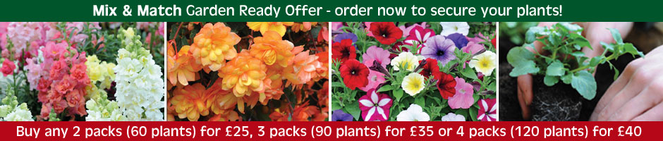 Mix & Match Garden Ready Plants Offer
